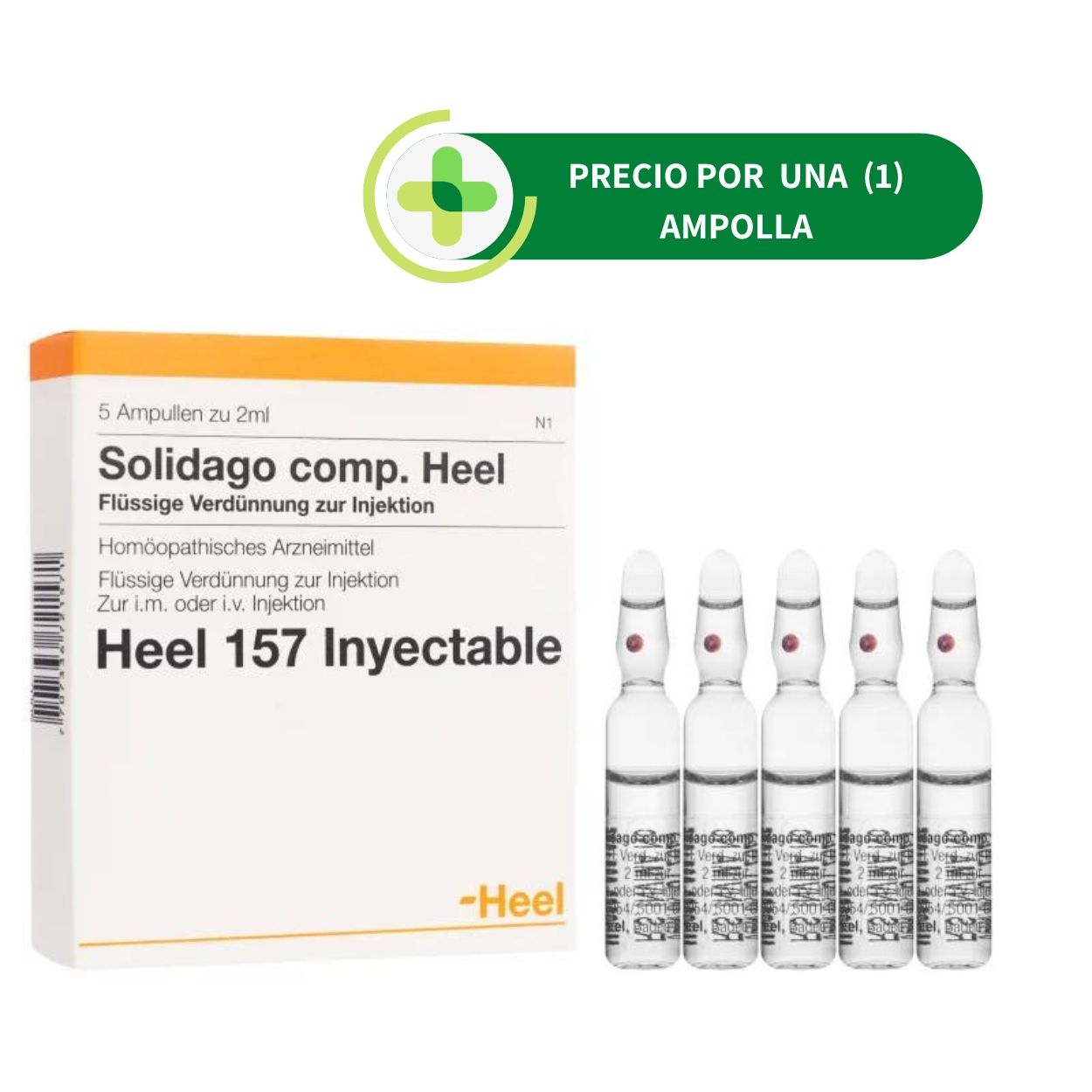 Solidago Compositum Ampolla - Heel - 2 ml