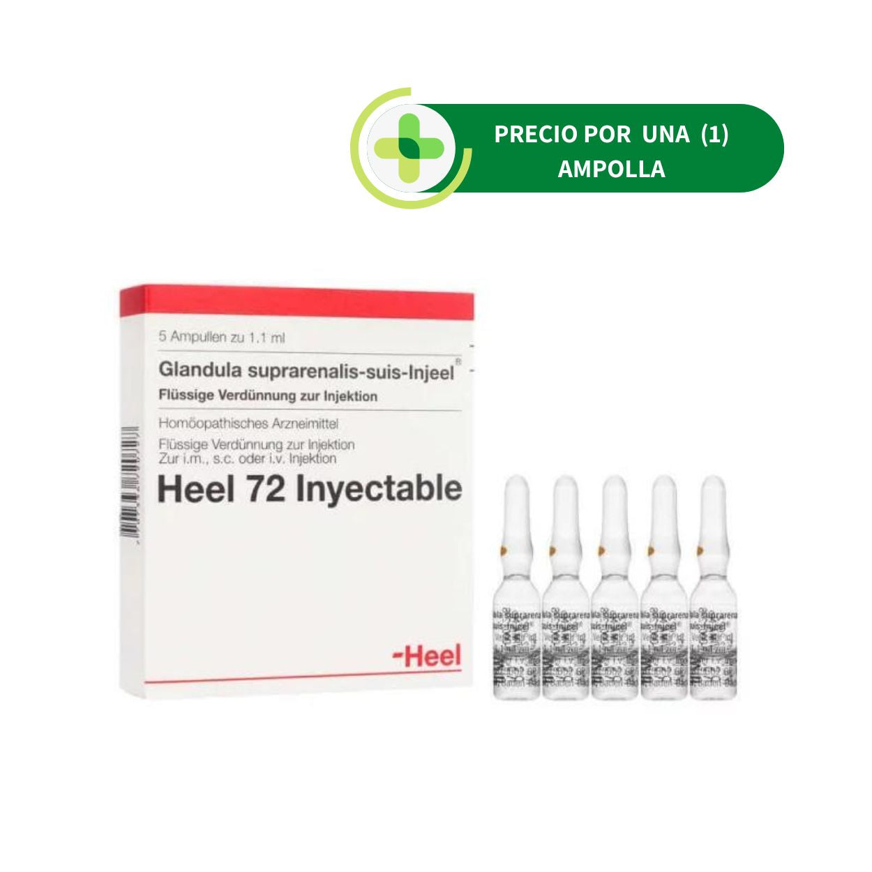 Glandula Suprarrenalis Suis Injeel Ampolla - Heel - 1.1 ml