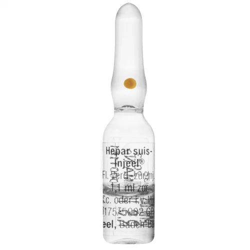 Hepar Suis Injeel Ampolla - Heel - 2.2 ml - Botiqui - Farmacia Homeopática