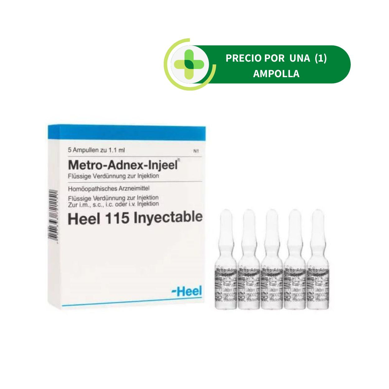 Metro Adnex Injeel Ampolla - Heel - 1.1 ml