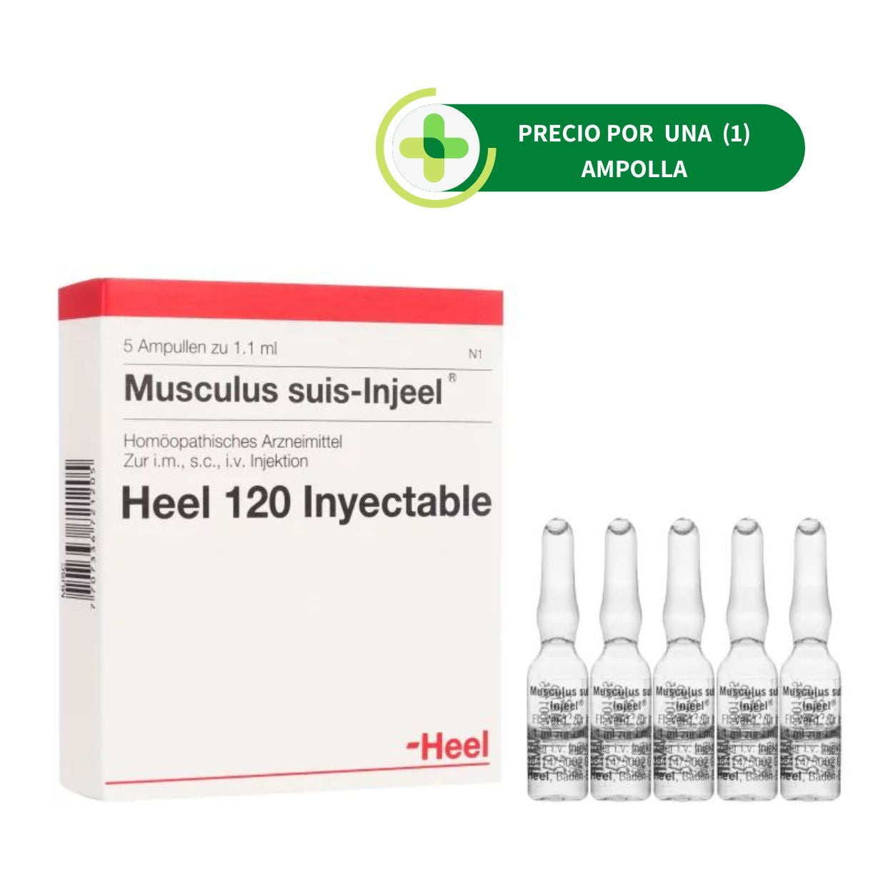 Musculus Suis Ampolla - Heel - 1.1 ml