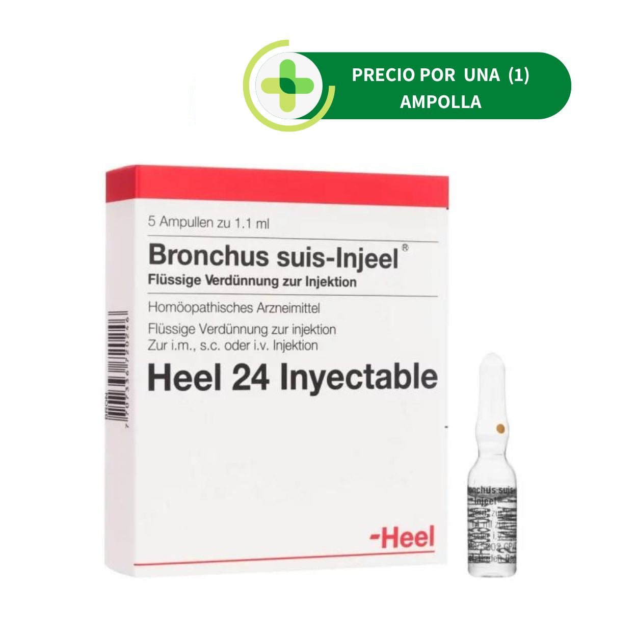 Bronchus Suis Injeel Ampolla - Heel - 1.1 ml