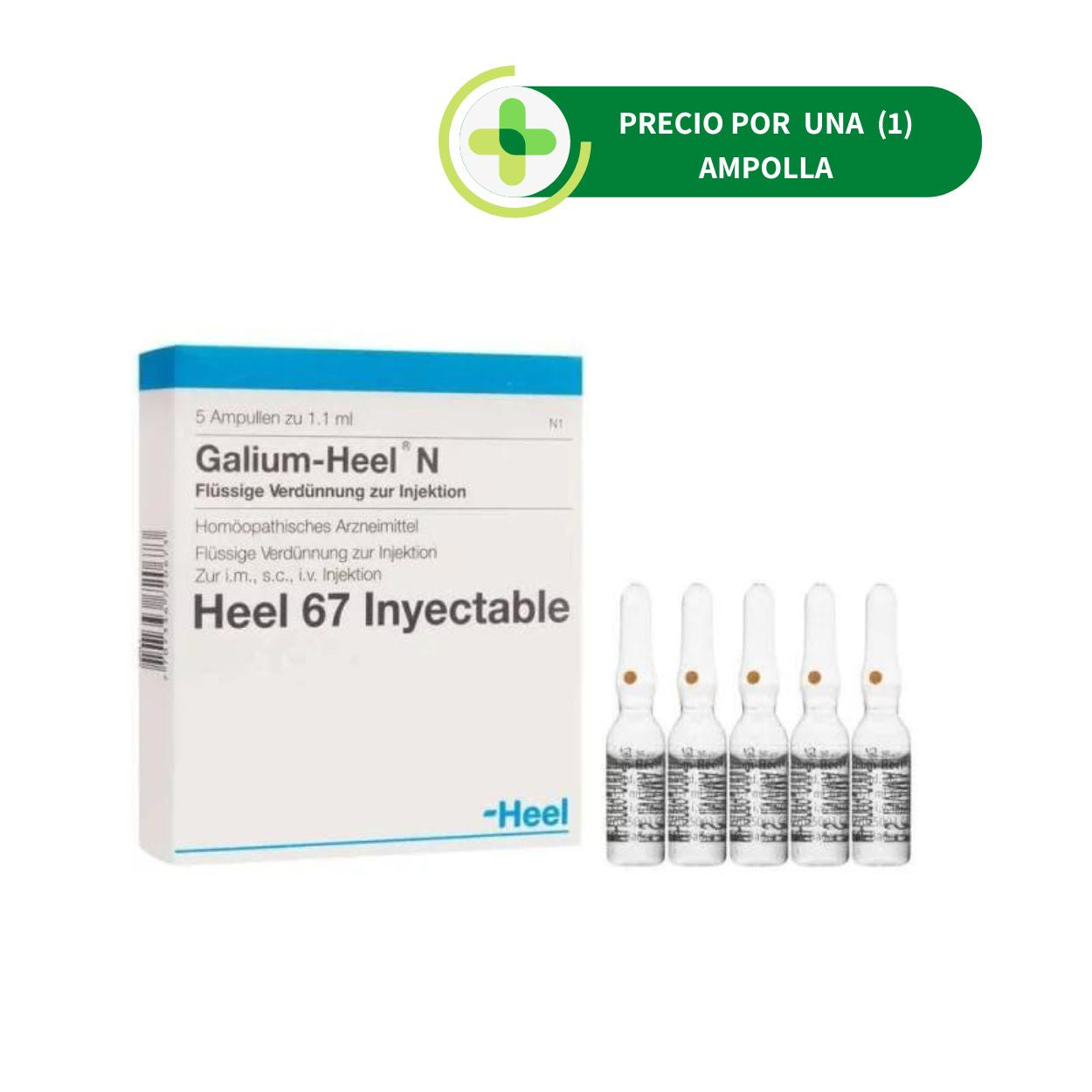 Galium Heel Ampolla - Heel - 1.1 ml