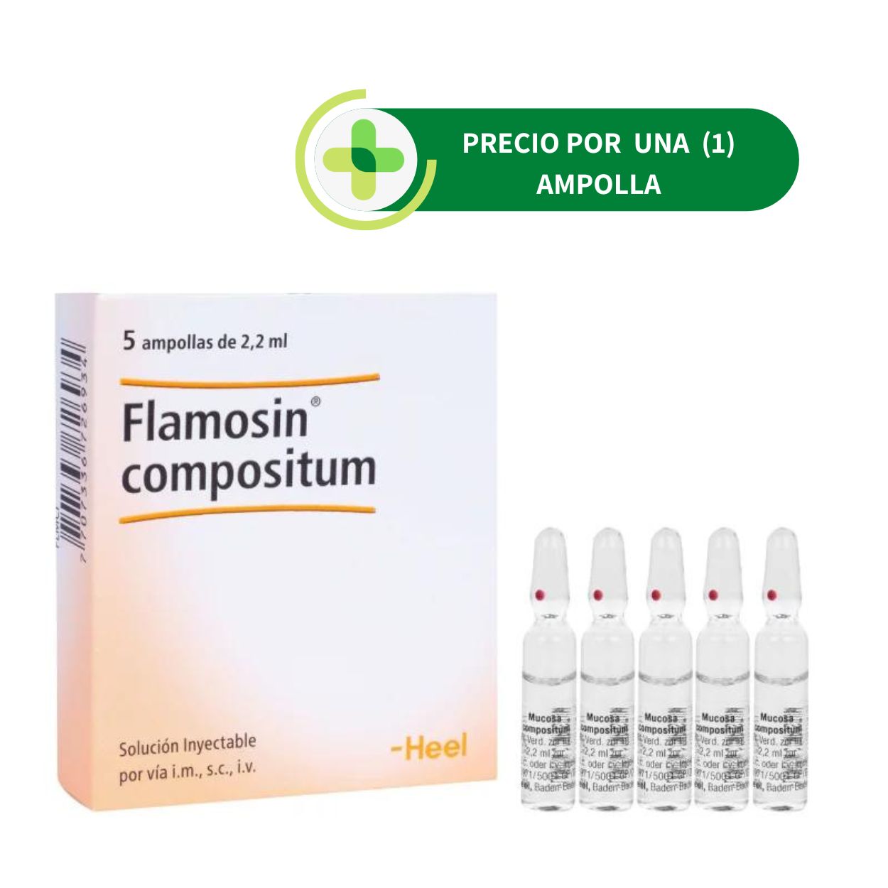 Flamosin (mucosa) Compositum Ampolla - Heel - 2.2 ml