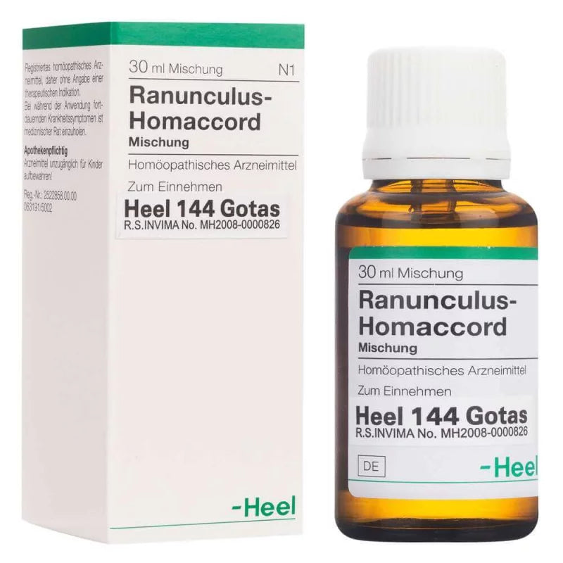 Ranunculus Homaccord - Heel - Gotas